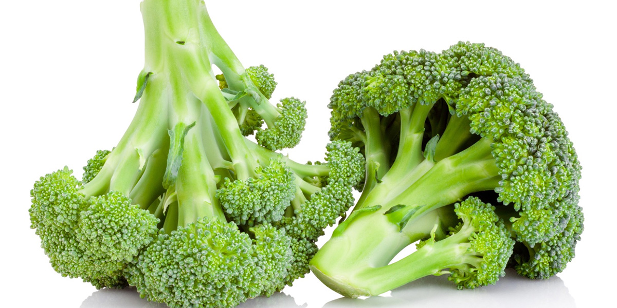 Sedano, broccolo e iceberg: l’autunno di Fortini prende forma